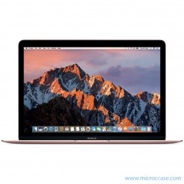 MacBook Rétina ICM3 1,1 Ghz / 8 Go / 256 Go SSD 12" (E2016-2017)