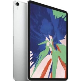 iPad Pro 11" 256 Go Wifi + Cellulaire