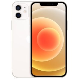 iPhone 12 64Go reconditionné / Wifi + 5G (2020-2023)