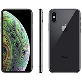 iPhone XS 256 Go