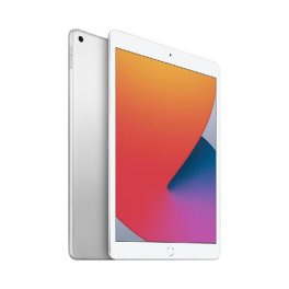 iPad 7 WIFI / 128Go