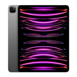 iPad Pro 12,9" (6e génération) 256 Go - Cellulaire + Apple Pencil 2