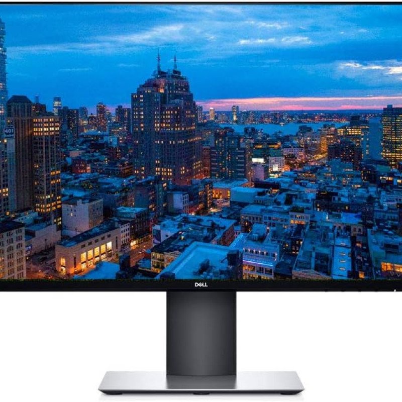 Ecran DELL P2419H 24