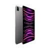 iPad Pro 11