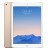 iPad Mini 2  