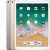 iPad (5ème génération)