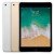 iPad Air